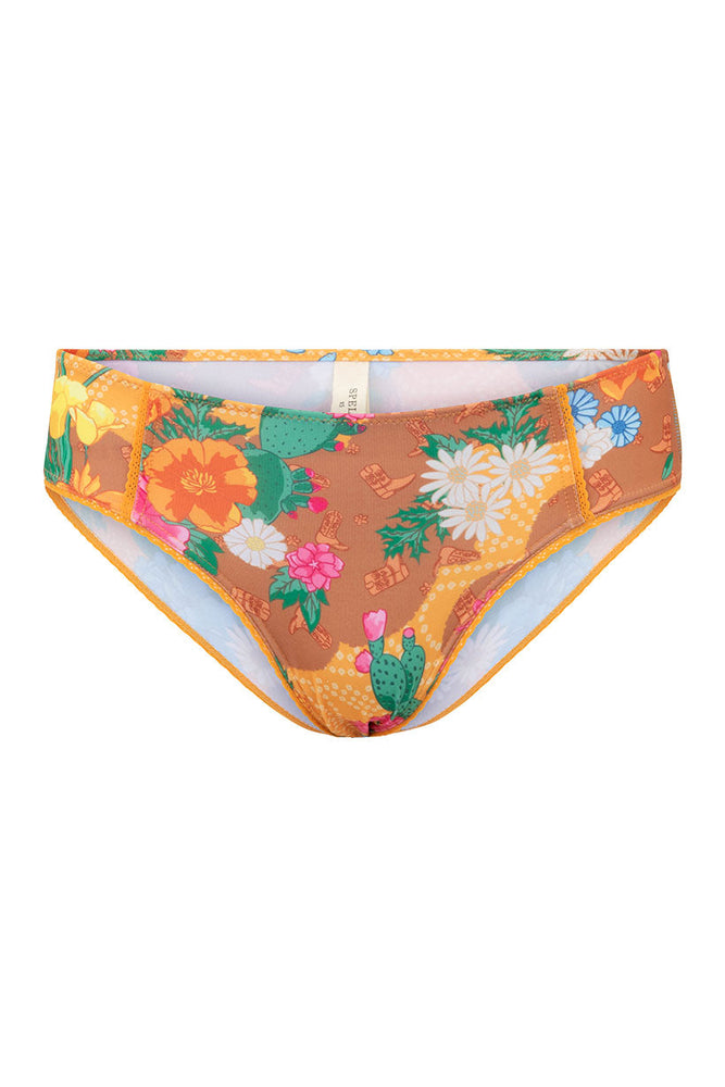 Joshua Tree Bloomers